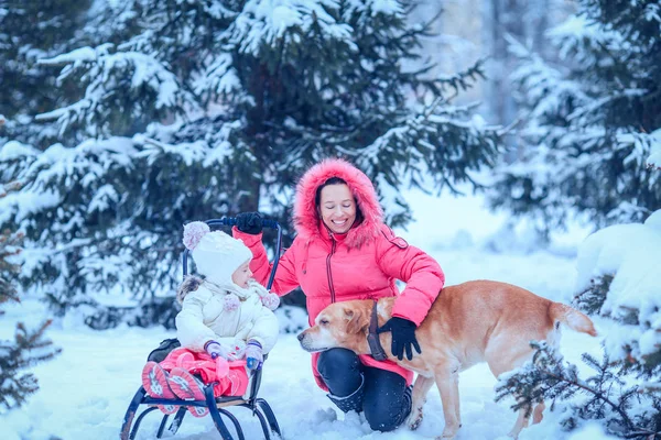 Szczęśliwa rodzina z psem w parku zimowym — Zdjęcie stockowe
