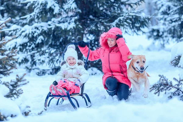 Famille heureuse avec chien dans le parc d'hiver — Photo