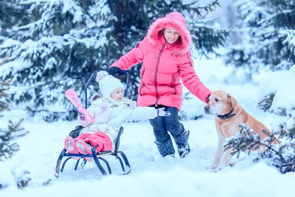 Happy family with dog in winter park — Stock Photo, Image