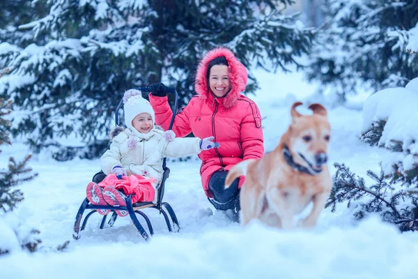 Happy family with dog in winter park — Stock Photo, Image