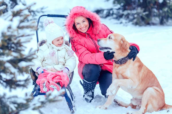 Gelukkige familie met hond in winter park — Stockfoto
