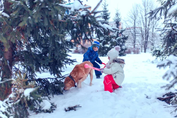 Família feliz com cão no parque de inverno — Fotografia de Stock
