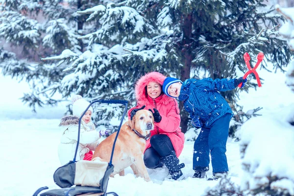 겨울 공원에서 강아지와 함께 행복 한 가족 — 스톡 사진