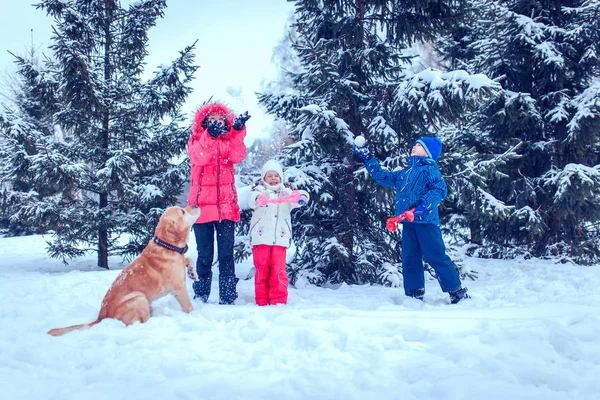Ευτυχισμένη οικογένεια με σκύλο στο χειμερινό πάρκο — Φωτογραφία Αρχείου