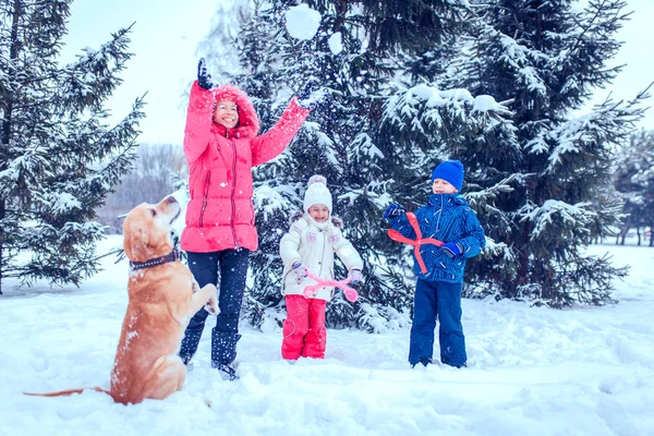 Gelukkige familie met hond in winter park — Stockfoto