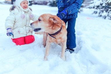 Noel mutlu genç köpek karda oynarken