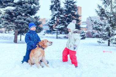 mutlu aile köpek kış park ile