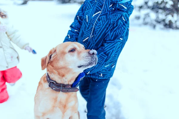 Різдво щасливий підліток грає собаку на снігу — стокове фото