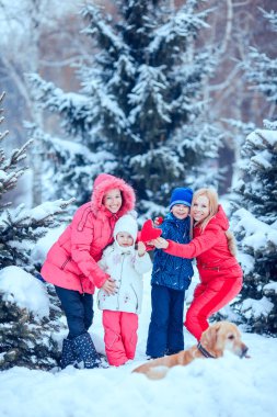 mutlu aile köpek kış park ile