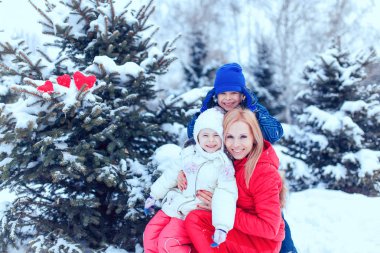 mutlu aile köpek kış park ile