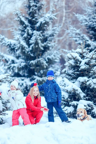 Familia feliz con perro en el parque de invierno — Foto de Stock