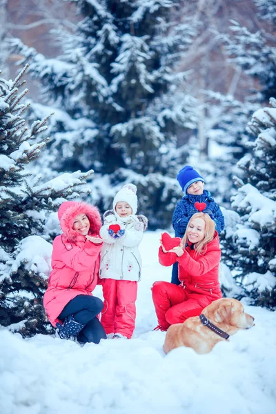 mutlu aile köpek kış park ile