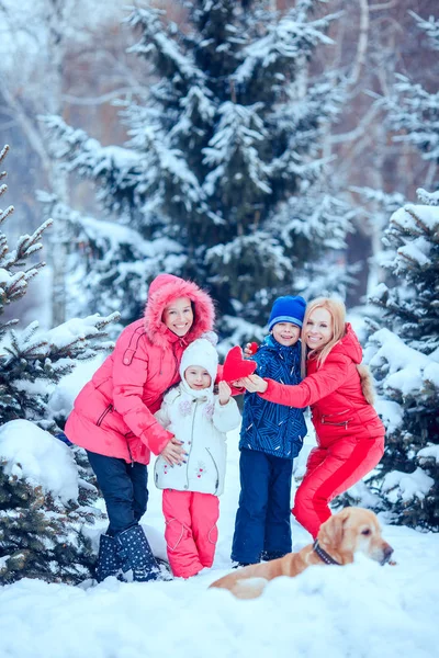 mutlu aile köpek kış park ile