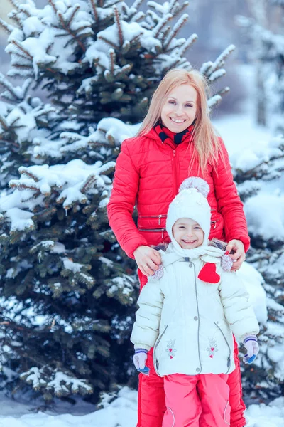 mutlu aile köpek kış park ile