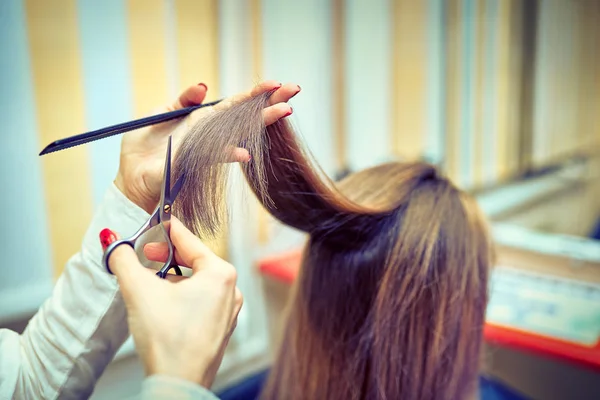 Imagen que muestra peluquería sosteniendo tijeras y peine —  Fotos de Stock