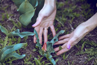 mutlu bir kadın çiçek grup ile