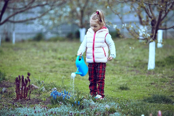 Flicka trädgårdsmästare vattna blommor i trädgården . — Stockfoto