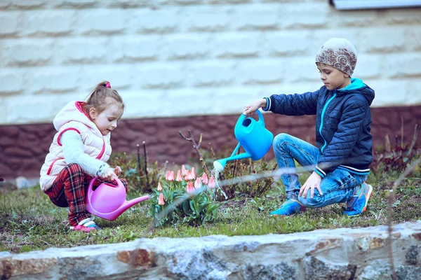 Niños plantando flores en el jardín floreciente  . — Foto de Stock