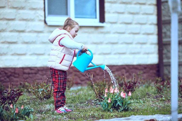 Meisje tuinman drenken bloemen in tuin . — Stockfoto