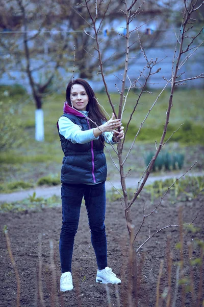 在后院的花园里种一棵树 . — 图库照片