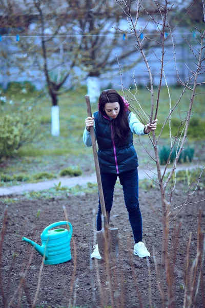 Planten van een boom in de tuin in de achtertuin . — Stockfoto