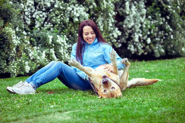 Menina encantadora e cão de labrador  . — Fotografia de Stock