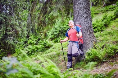 Dağlarda vahşi seyahat.