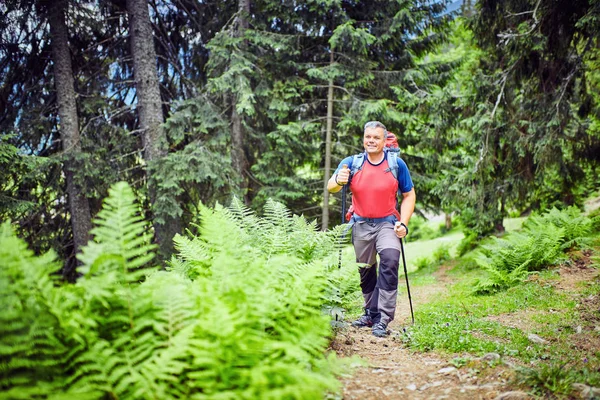 Na cestách v horách, v přírodě. — Stock fotografie