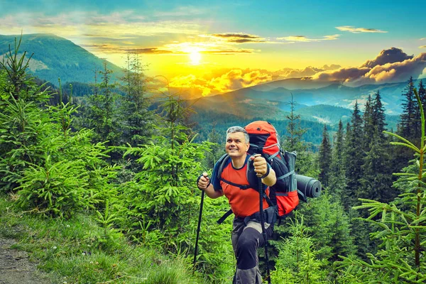 野生の山の旅. — ストック写真