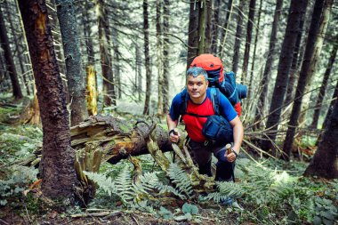 Dağlarda vahşi seyahat.