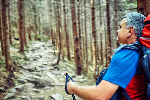 Dağlarda vahşi seyahat.