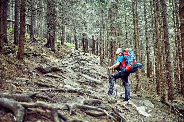 Dağlarda vahşi seyahat.