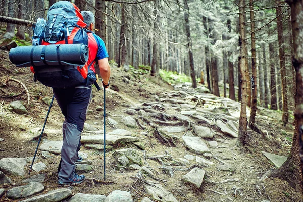 Traveling in the mountains, in the wild. — Stock Photo, Image