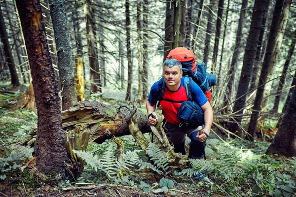 Dağlarda vahşi seyahat.