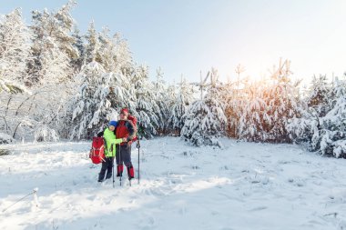 Turistler kış ormanda yürüyor.