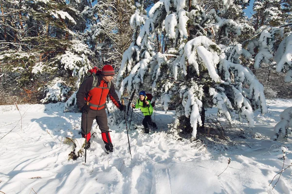Τουρίστες Πόδια Μέσα Στο Δάσος Του Χειμώνα — Φωτογραφία Αρχείου
