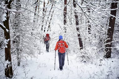 Turistler kış ormanda yürüyor.