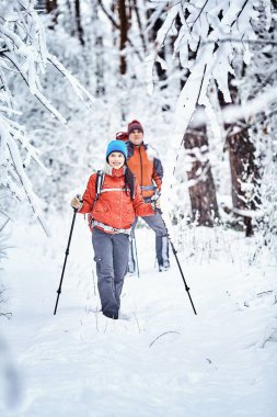 Turistler kış ormanda yürüyor.