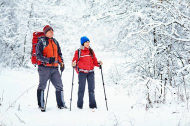 Turistler kış ormanda yürüyor.
