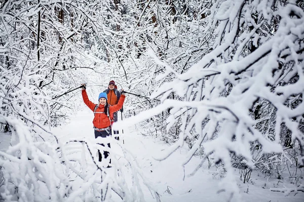 Turistas Estão Caminhando Floresta Inverno — Fotografia de Stock