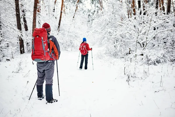 Trekkers a lo largo del camino para refugiarse en el Parque Natural — Foto de Stock