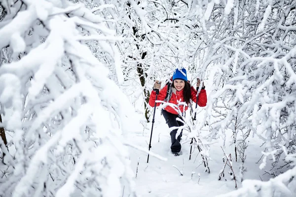 Wanderer auf dem Weg zur Schutzhütte im Naturpark — Stockfoto