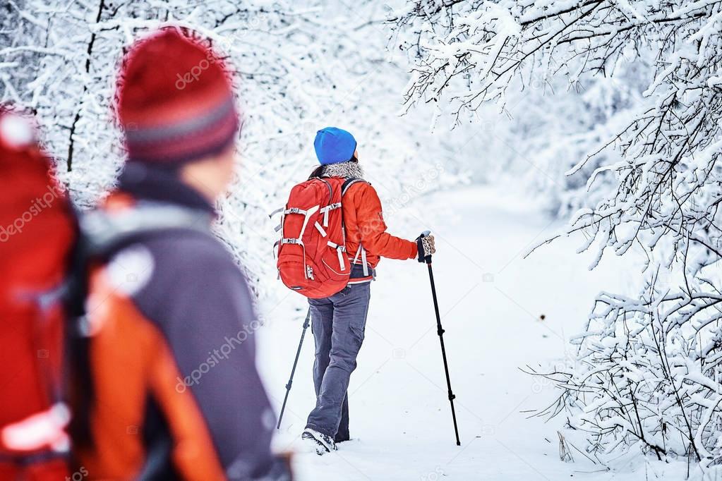 Trekkers along the path to  refuge in the Natural Park