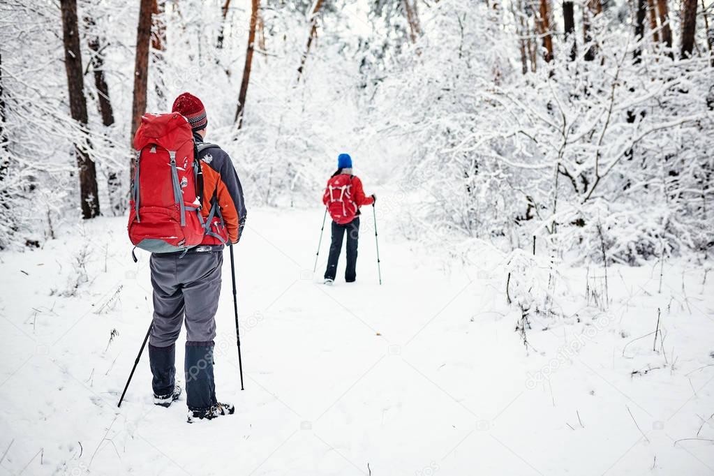 Trekkers along the path to  refuge in the Natural Park