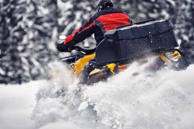 Quad Bisiklet ormandaki yürüyüşte kış.