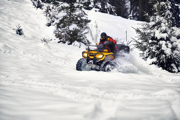 Χειμώνα με τα πόδια πάνω στο quad ποδήλατο στο δάσος. — Φωτογραφία Αρχείου