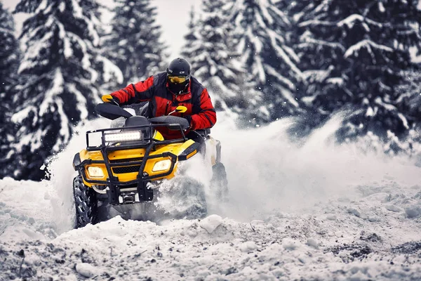 Χειμώνα με τα πόδια πάνω στο quad ποδήλατο στο δάσος. — Φωτογραφία Αρχείου