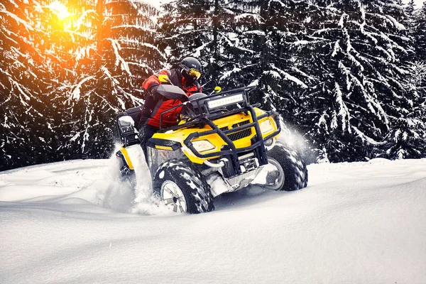 Winter wandeling op de quad bike in het bos. — Stockfoto