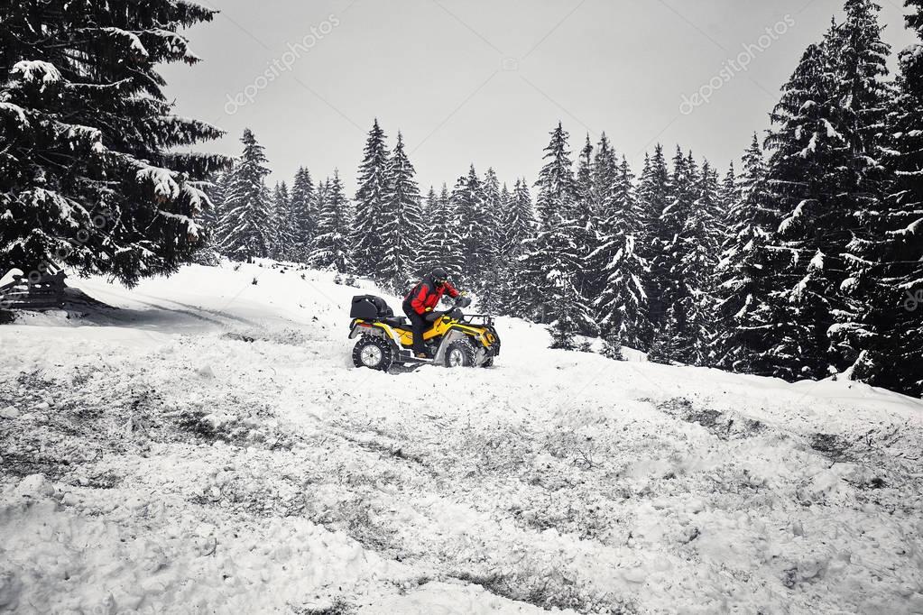 Winter walk on the quad bike in the forest.
