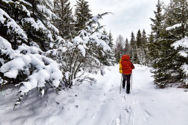 Adam ağır sırt çantası ile günbatımı dağlar, hiking.